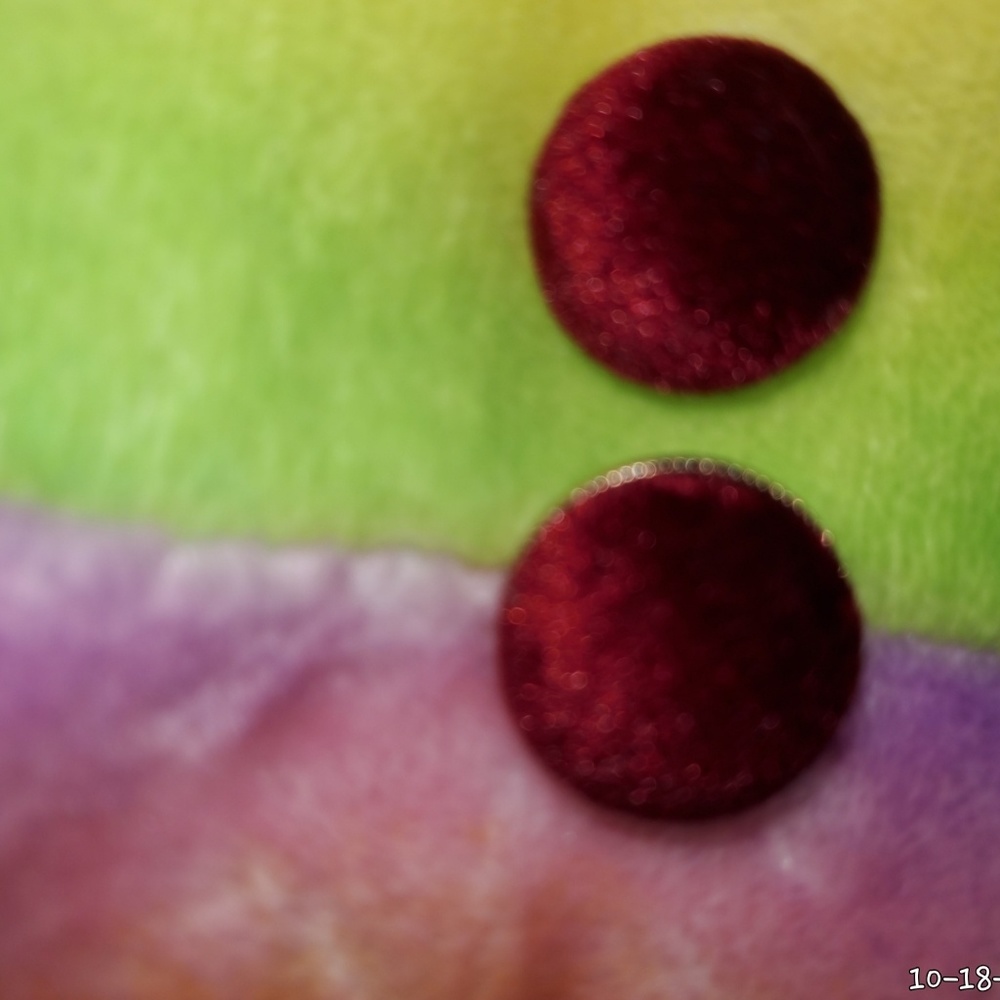 Velvet button style earrings for pierced ears